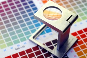 print management and procurement essex